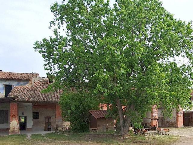 Rustico in vendita a Casoni, Borghetto Lodigiano
