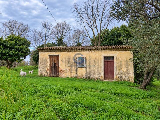 Rustico in vendita a Borgia, Catanzaro