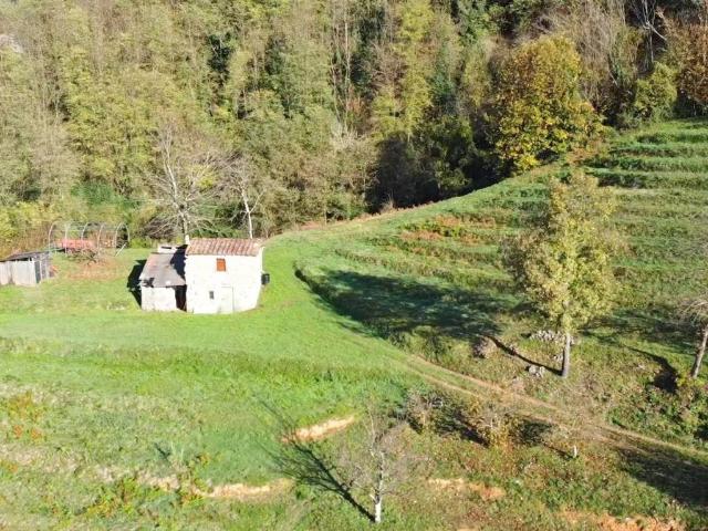 Rustico in vendita a Unione dei comuni Media Valle del Serchio, Borgo A Mozzano