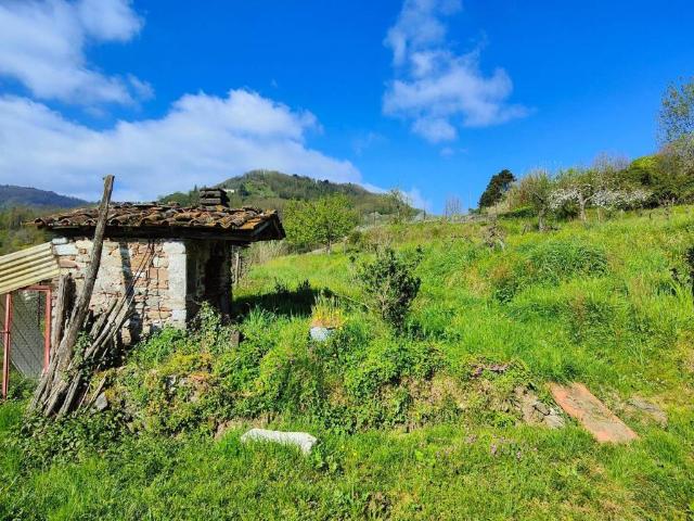 Rustico in vendita a Unione dei comuni Media Valle del Serchio, Borgo A Mozzano