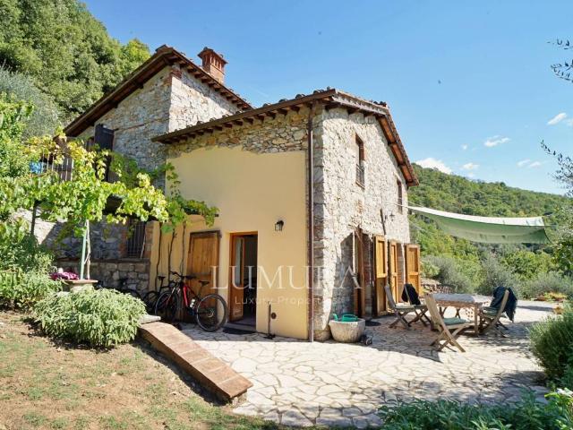 Rustico in vendita a Unione dei comuni Media Valle del Serchio, Borgo A Mozzano