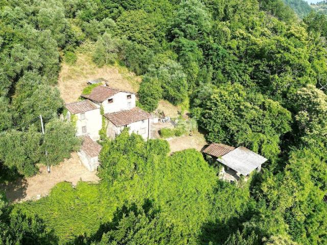 Rustico in vendita a Domazzano, Borgo a Mozzano