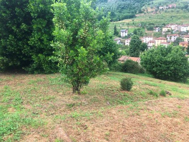 Rustico in vendita a Unione dei comuni Media Valle del Serchio, Borgo A Mozzano