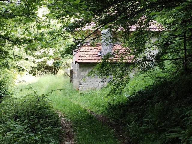 Rustico in vendita a Borgo Valbelluna, Confos