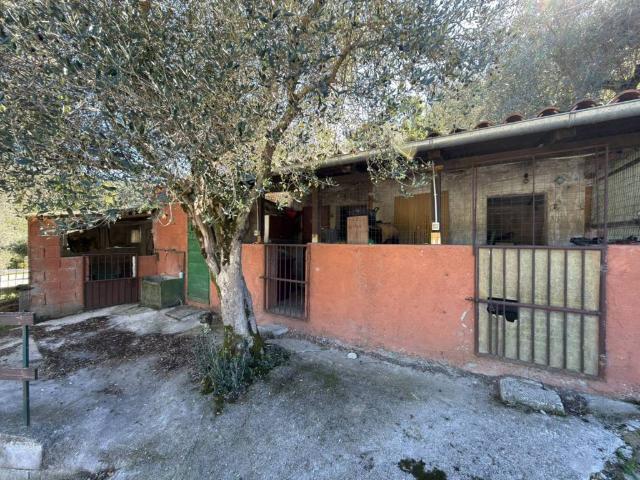 Rustico in vendita a Colle Rinaldo, Borgo Velino