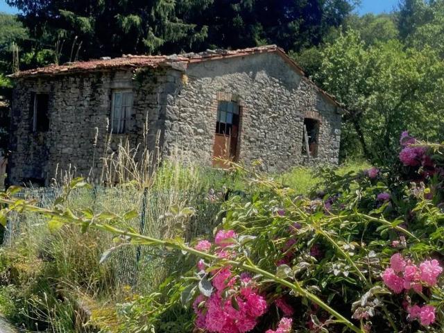 Rustico in vendita a Borzonasca, Liguria