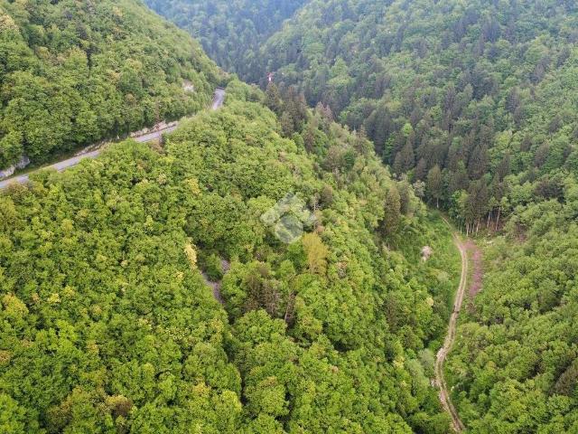 Rustico in vendita a Bosco Chiesanuova, Veneto