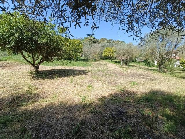 Rustico in vendita a Roma Capitale, Lazio