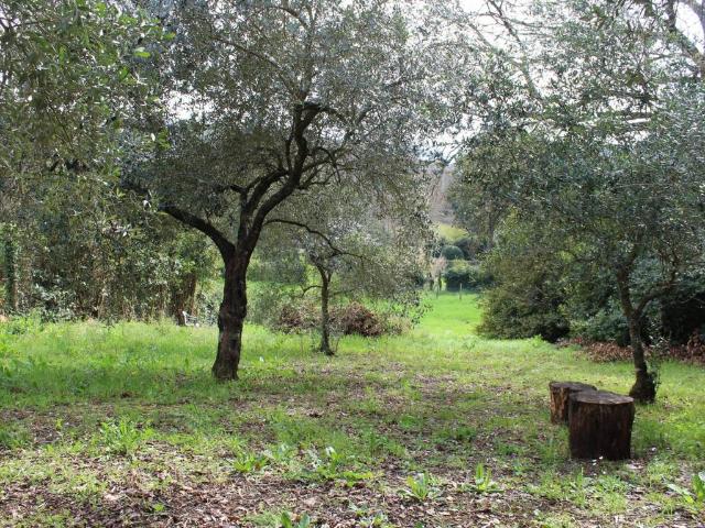 Rustico in vendita a Roma Capitale, Lazio