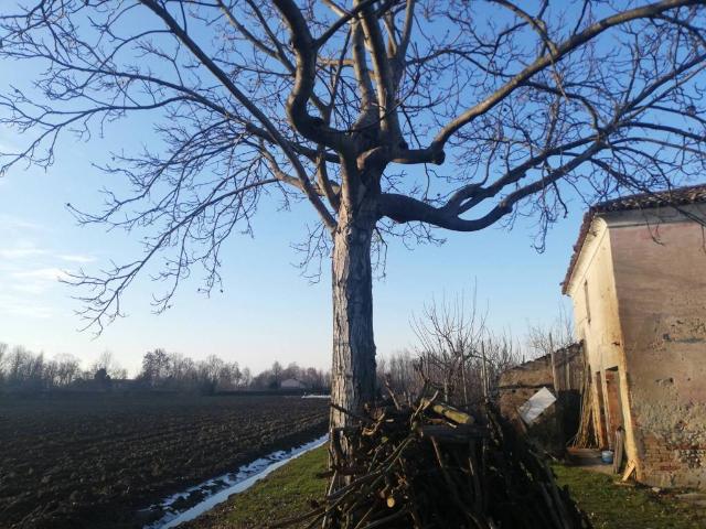 Rustico in vendita a Pezzan, Carbonera