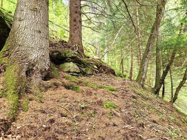 Rustico in vendita a Comunità della Val di Non, Bresimo