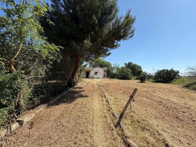 Rustico in vendita a Puglia, Brindisi