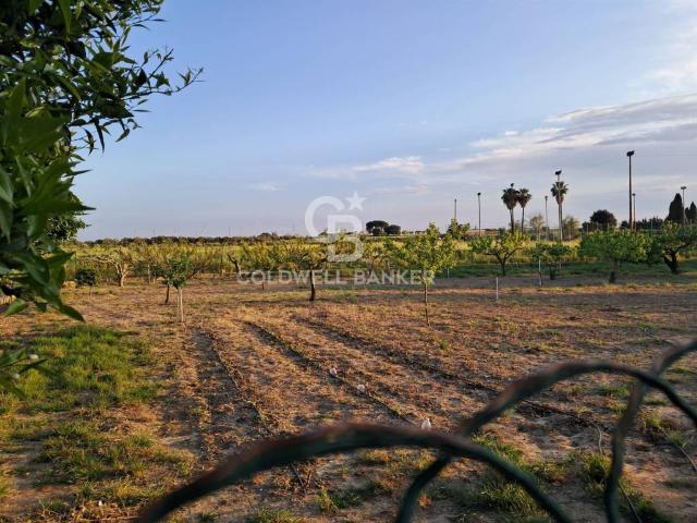 Rustico in vendita a Puglia, Brindisi