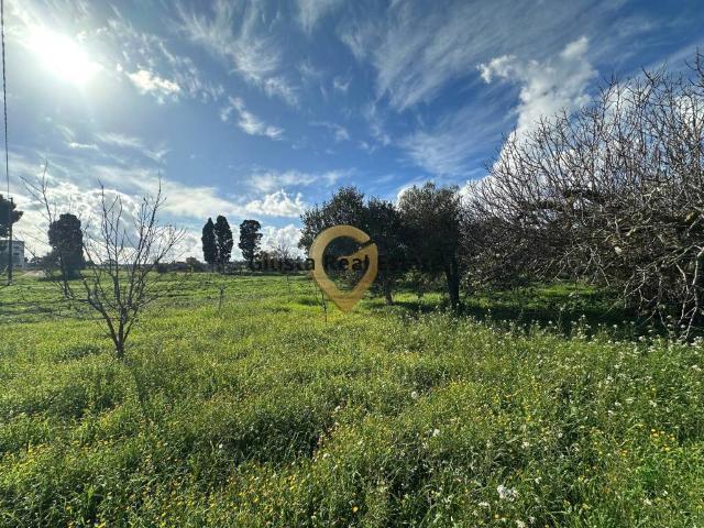 Rustico in vendita a Puglia, Brindisi