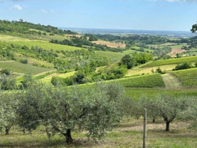 Rustico in vendita a Unione della Romagna Faentina, Brisighella