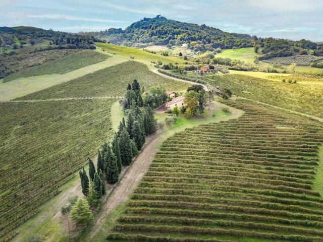 Rustico in vendita a Unione della Romagna Faentina, Brisighella