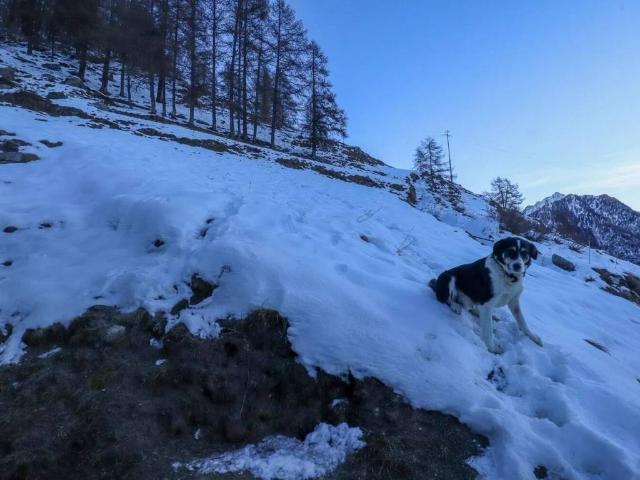 Rustico in vendita a Brusson, Aosta