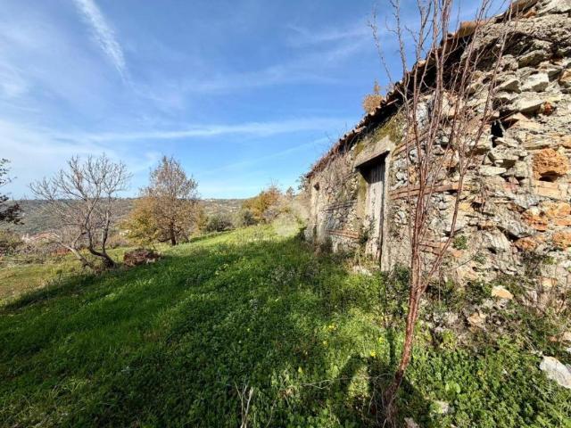 Rustico in vendita a Calabria, Cosenza
