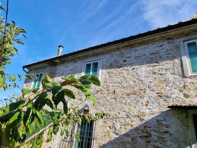 Rustico in vendita a Cascine di Buti, Buti