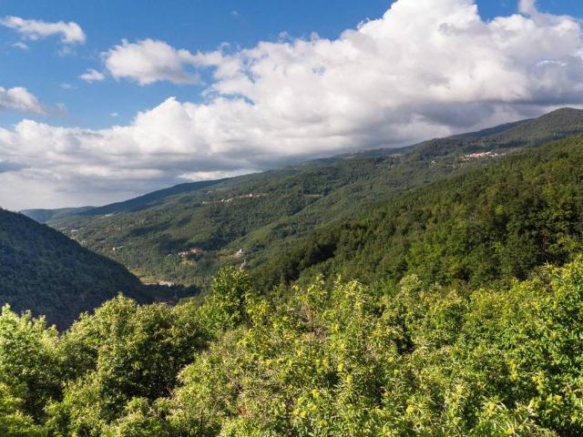 Rustico in vendita a Piemonte, Alessandria