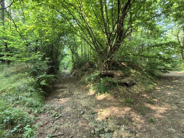 Rustico in vendita a Cabiate, Lombardia