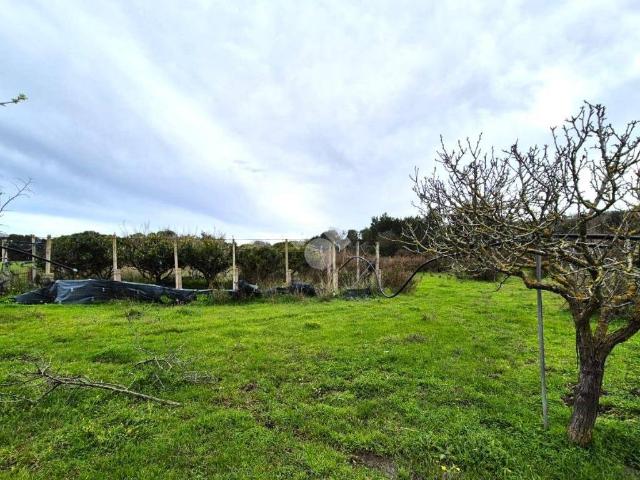 Rustico in vendita a Calasetta, Sardigna/Sardegna