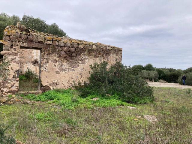 Rustico in vendita a Calasetta, Sardigna/Sardegna