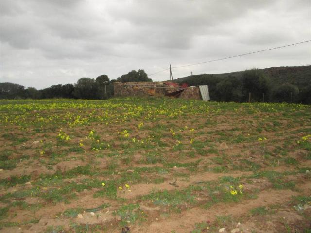 Rustico in vendita a Calasetta, Sardigna/Sardegna