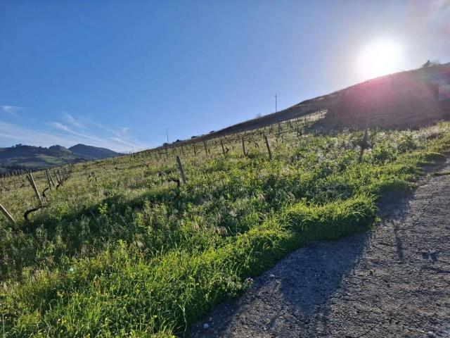 Rustico in vendita a Calatafimi, Sicilia