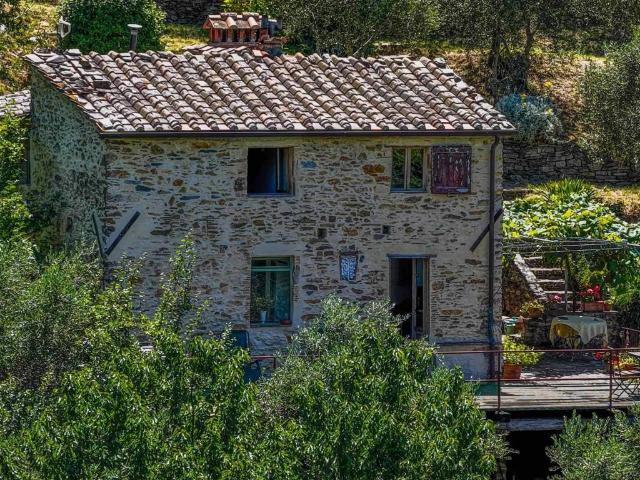 Rustico in vendita a Montemagno, Calci