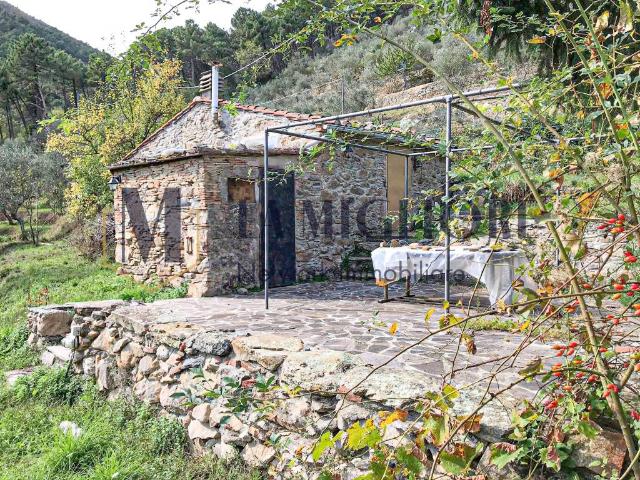 Rustico in vendita a San Donato, Calci