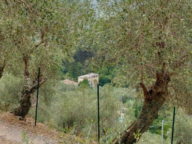 Rustico in vendita a San Donato, Calci