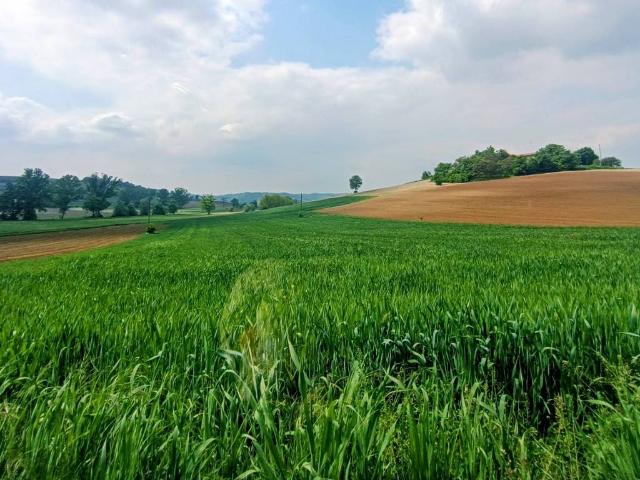 Rustico in vendita a Piemonte, Asti