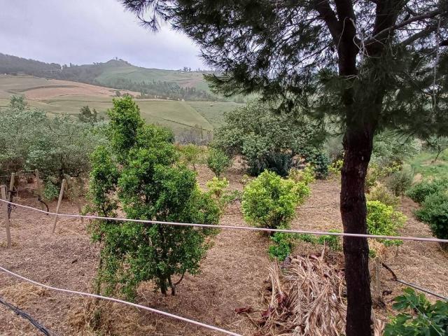 Rustico in vendita a Caltagirone, Sicilia