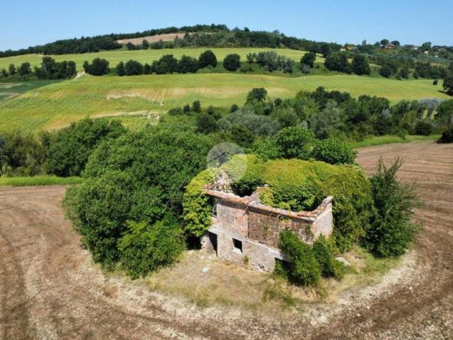 Rustico in vendita a Calvi Dell'umbria, Umbria