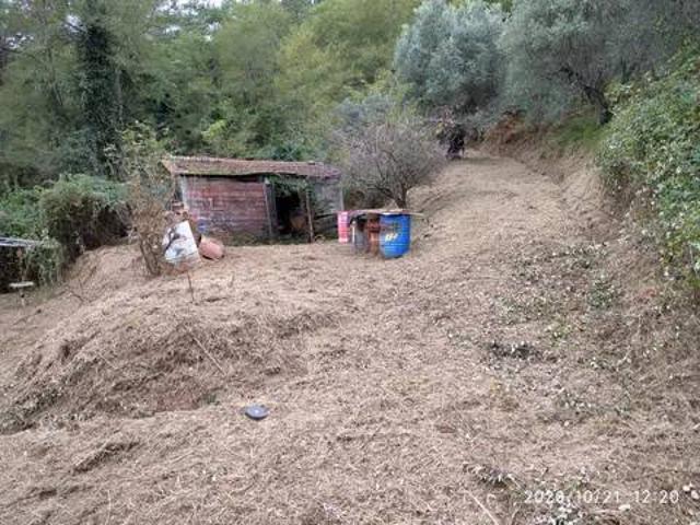 Rustico in vendita a Pedona, Camaiore