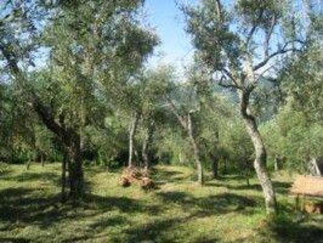 Rustico in vendita a Camaiore, Toscana