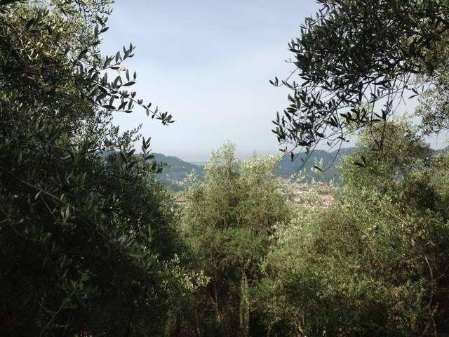 Rustico in vendita a Montebello, Camaiore