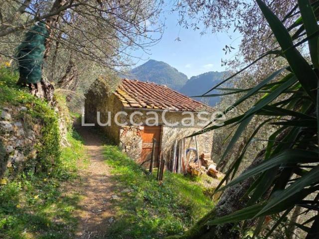 Rustico in vendita a Torcigliano, Camaiore