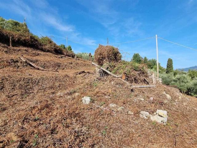 Rustico in vendita a Camaiore, Toscana