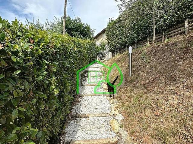 Rustico in vendita a Campo, Camaiore