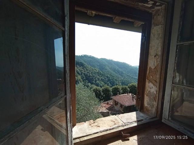 Rustico in vendita a Torcigliano, Camaiore