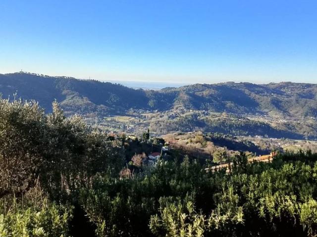 Rustico in vendita a Camaiore, Toscana