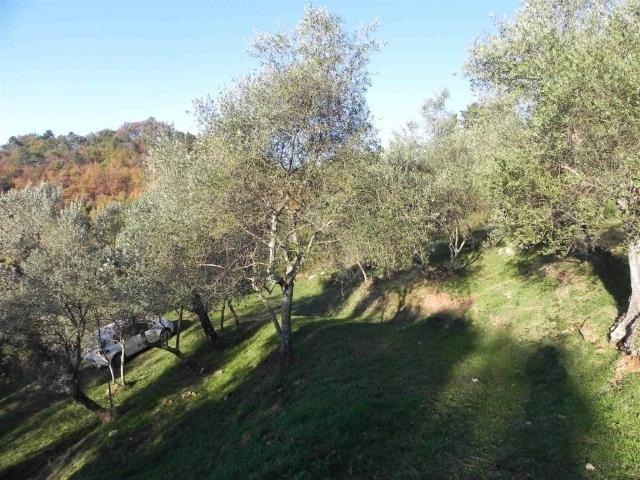 Rustico in vendita a Camaiore, Toscana