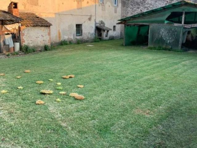 Rustico in vendita a località Fillungo, Camaiore