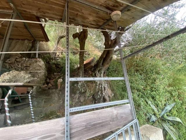 Rustico in vendita a Torcigliano, Camaiore