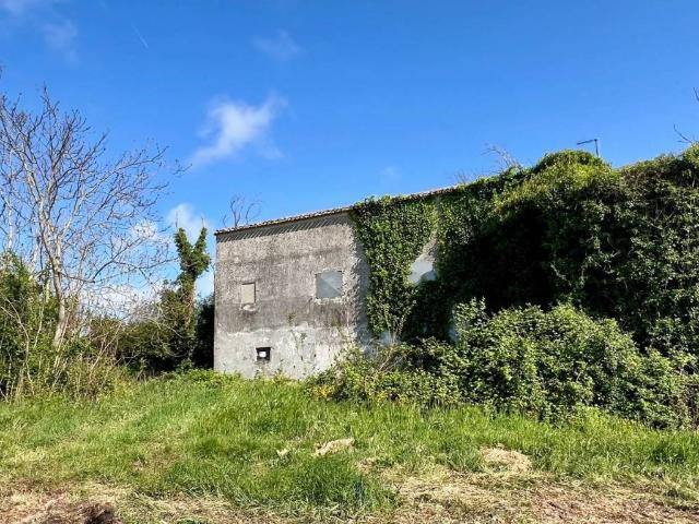 Rustico in vendita a Marche, Ancona