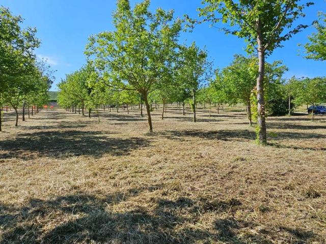 Rustico in vendita a Marche, Macerata