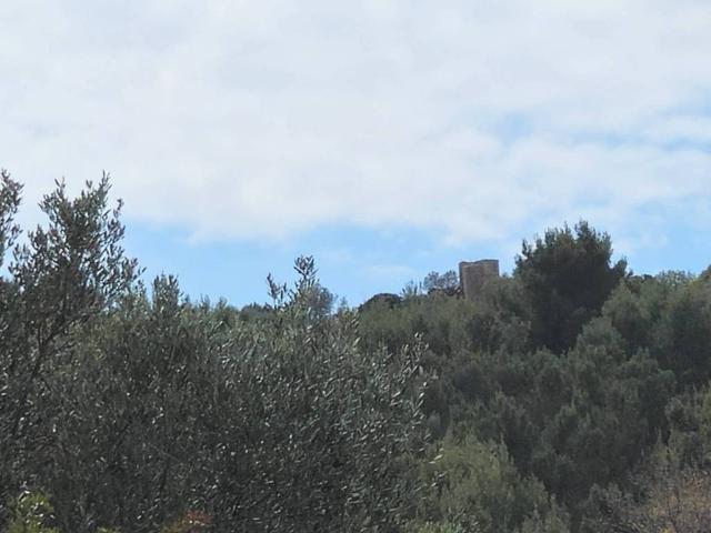Rustico in vendita a Camerota, Campania