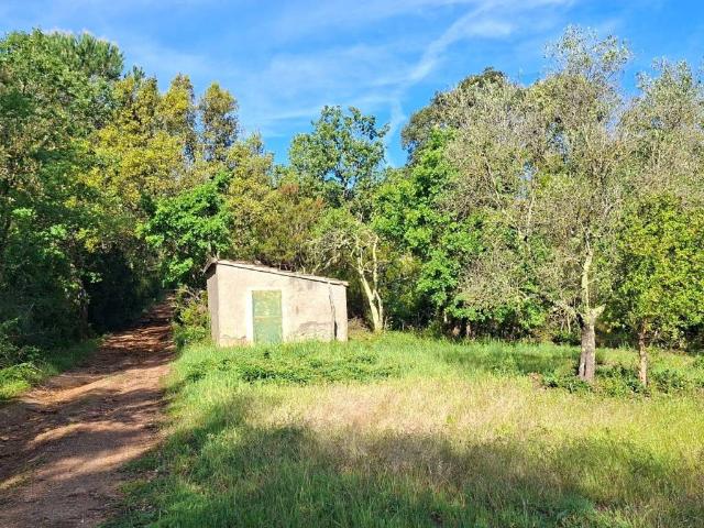 Rustico in vendita a Campagnatico, Toscana